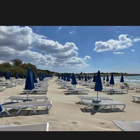 Mare *