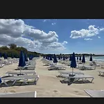 Mare *