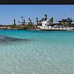 Mare *