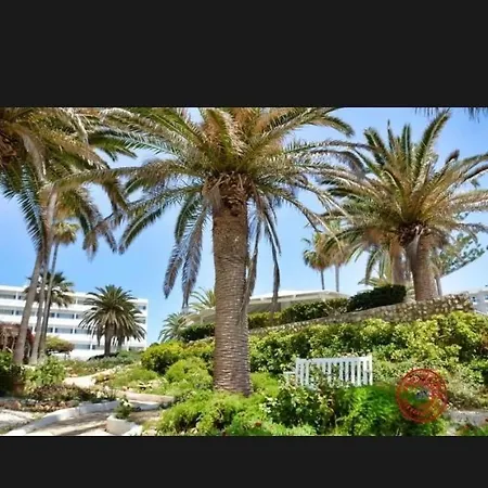 Vila Mare *